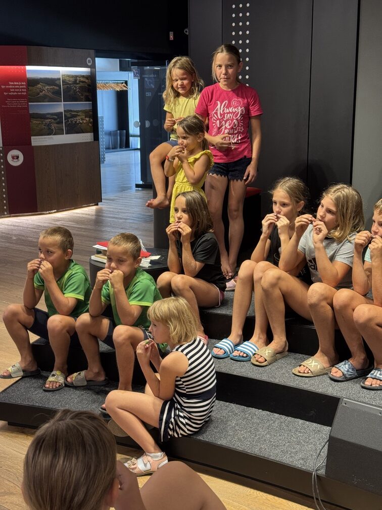 Od spoznavanja harmonike do članov ansambla